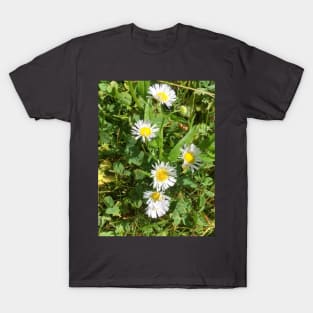 Tiny Wild Daisies T-Shirt